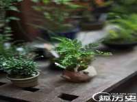 安徽杰盼电子商务有限公司