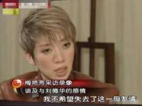 安徽杰盼电子商务有限公司