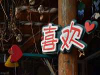 安徽杰盼电子商务有限公司