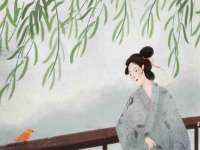 安徽杰盼电子商务有限公司