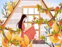 安徽杰盼电子商务有限公司
