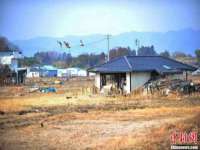 安徽杰盼电子商务有限公司