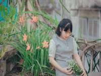 安徽杰盼电子商务有限公司