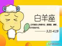 安徽杰盼电子商务有限公司